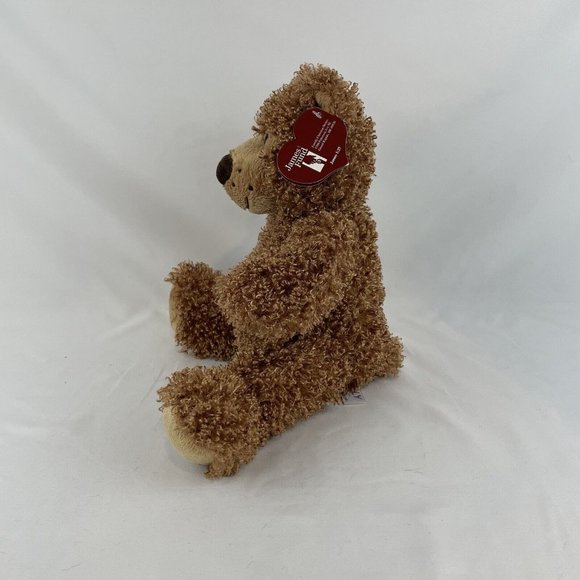 Family Christian Stores Brown Teddy Bear 12” Plush Curly Fur James Fund w/Tags - Picture 2 of 10